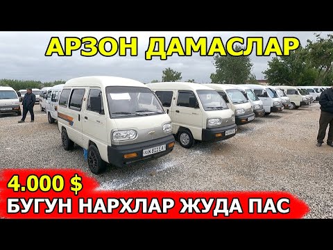 Видео: АРЗОН ДАМАСЛАР НАРХИ 2024 САМАРКАНД МОШИНА БОЗОРИ 19.05.2024
