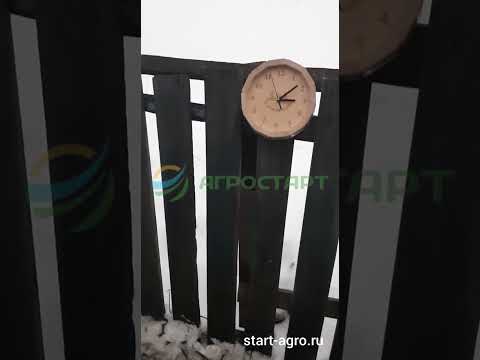 Видео: Холмогорские гуси. Ощип гусей в перосъемной машине NT-600A. отзыв от клиента АГРОСТАРТ