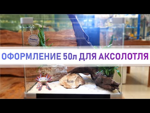 Видео: Оформление аквариума для аксолотля на 50л