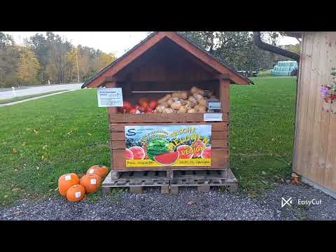 Видео:  Иду к коровам! Голодаю!