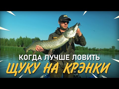 Видео: Когда лучше ловить щуку на воблеры крэнки