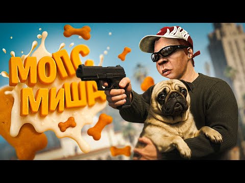 Видео: Не стоило обижать МОЕГО МОПСА!