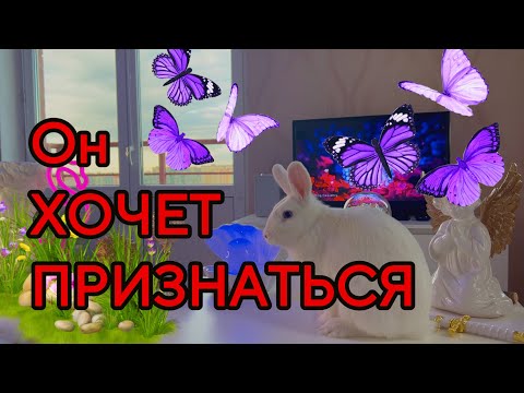 Видео: ‼🦋Он ХОТЕЛ ПРИЗНАТЬСЯ ТЕБЕ.. А вышло РАЗОБЛАЧЕНИЕ‼Таро💓