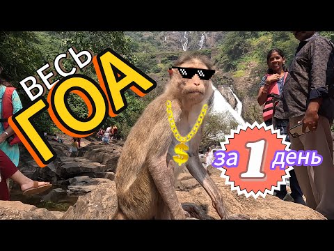 Видео: Весь ГОА за 1 день! Гангстеры водопада Дудхсагар.