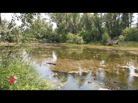 Видео: Информканал "Город" Рубцовск (19.07.2019)