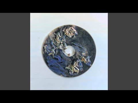 Видео: Родео