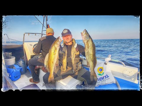 Видео: ЛОВИМ СУДАКА НА ЛАДОГЕ.