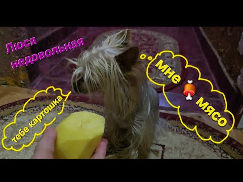 Видео: Приготовила мясо с картошкой/смородиновый компот.