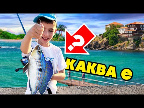 Видео: ХВАНАХМЕ НОВ ВИД РИБА в ЧЕРНО МОРЕ?!? 🐟