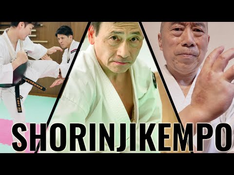Видео: Удивительная техника контроля удара соперника.【Шоринджикемпо】