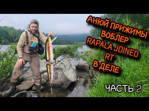 Видео: АНЮЙ РЫБАЛКА НА ПРИЖИМАХ, ЧАСТЬ 2.      ВОБЛЕР RAPALA JOINED RT В ДЕЛЕ .