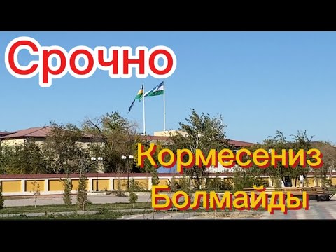 Видео: Срочна кормесениз болмайды Казакстанга кошип кетежак