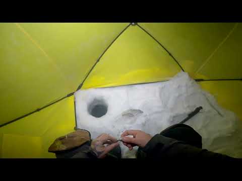 Видео: Серия √34 Рыбалка на Енисее,ловля налима.