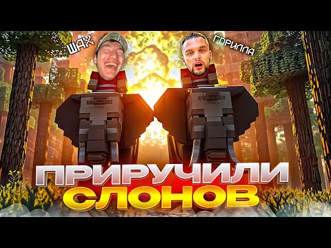 Видео: ДАНИЛА ГОРИЛЛА И ШАХ ПРИРУЧАЮТ СЛОНОВ В МАЙНКРАФТЕ | СДЕЛАЛИ ИМБОВОЕ ОРУЖИЕ ПРОТИВ ВАМПИРОВ