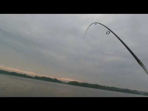 Видео: Щука в июне. Где? Как? На что?