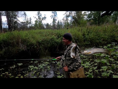 Видео: МЕДВЕЖЬЯ Речка - Рыбалка на ХАРИУСА,Мушки подобрали и начал БРАТЬ!