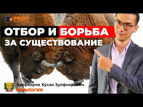Видео: Отбор и борьба за существование