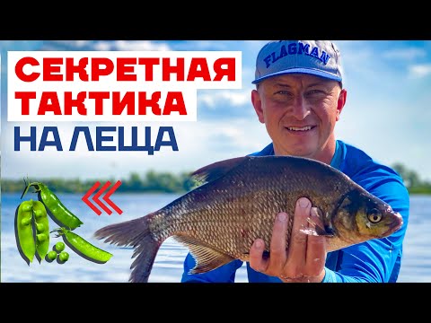 Видео: 🔥 Ловля Крупного ЛЕЩА на Фидер летом! Секреты Чемпиона Мира по Фидерной ловле. Лещ на фидер