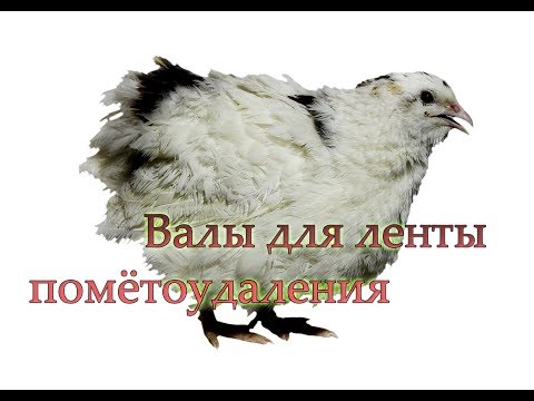 Видео: перепелятник,валы