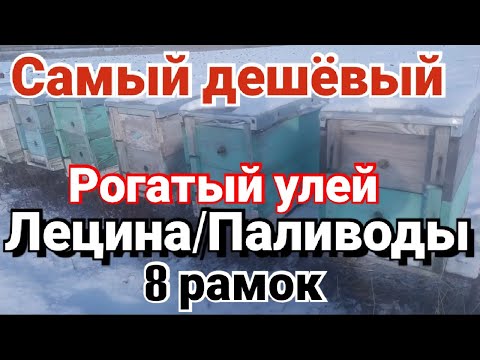 Видео: Рогатый улей Лецина / Паливоды отличный и недорогой улей на 8 рамок.