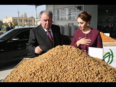 Видео: Ифтитоҳи Корхонаи коркард ва бандубасти меваи хушки ҶДММ Донаи алмос дар шаҳри Хуҷанд