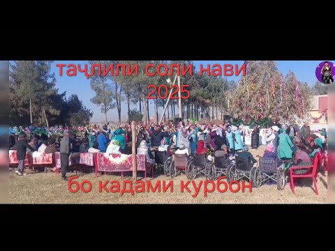 Видео: Кадами Курбон дар беморхонай касалиҳои руҳи чи кор  кард