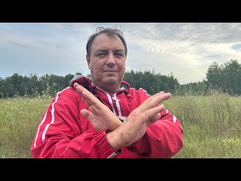 Видео: Рыбаки и грибники врут? Ответим на этот вопрос.