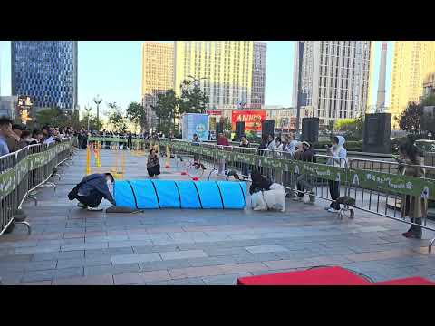 Видео: 11 ноября 2025 г.