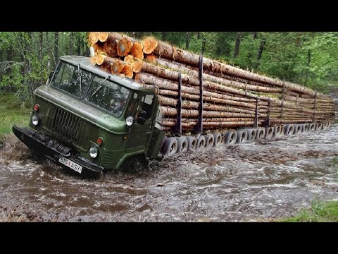 Видео: Экстремально опасные навыки вождения самых больших лесовозов