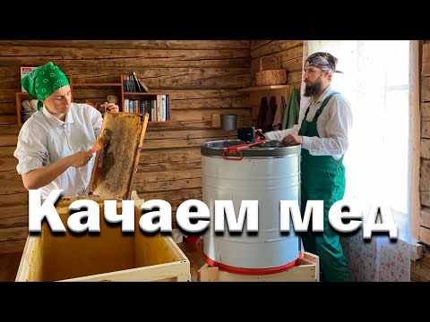 Видео: Начинаем качать мед // Пчеловодный сезон 2022 год