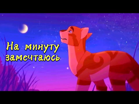 Видео: [Коты-Воители].{Метеор}~На минуту замечтаюсь~(Клип)