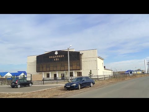 Видео: Подстёпный. осень 2021