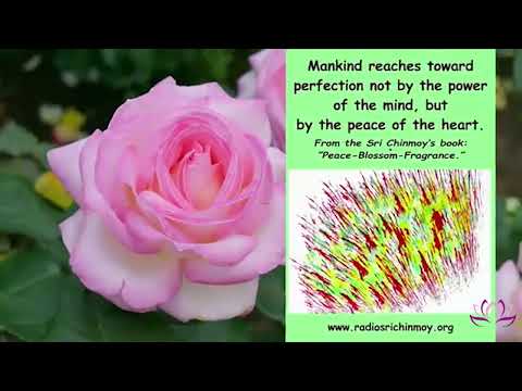 Видео: Послание сердцам, мечтающим о мире. Мир-это начало любви.