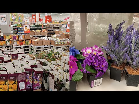 Видео: АШАН😀ПРИВЕЗЛИ САЖЕНЦЫ И ЛУКОВИЧНЫЕ🌹🌺💐ИСКУССТВЕННЫЕ ЦВЕТЫ🌿Ростов