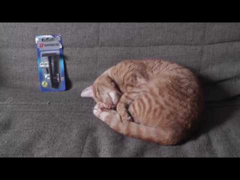 Видео: Обзор Т - бритвы Dorco PL 602, лезвия Рапида Платина Люкс, гель ARKO. Ультра бюджетное бритьё.