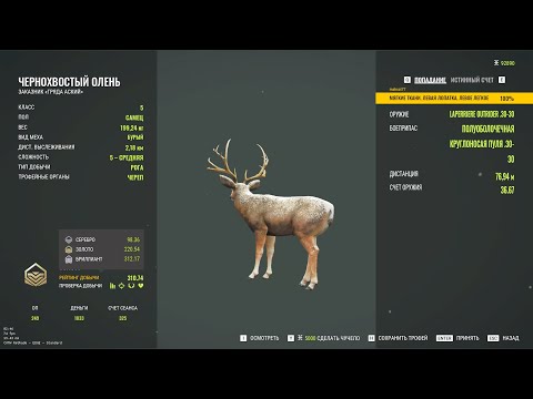 Видео: theHunter CotW: Asky Ridge Hunting Reserve (Охотничий заповедник Аски-Ридж) прохождение #2