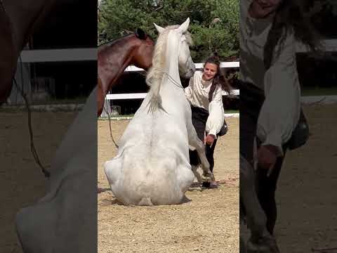 Видео: Татьяна Носова. Иваново поле 2023