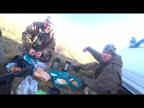 Видео: Охота на зайца сезон 2025-2026 №226