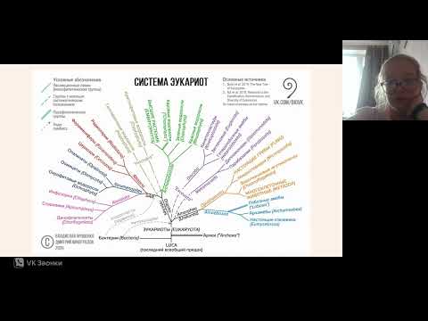 Видео: Олимпиадная подготовка по ботанике, лекция 3