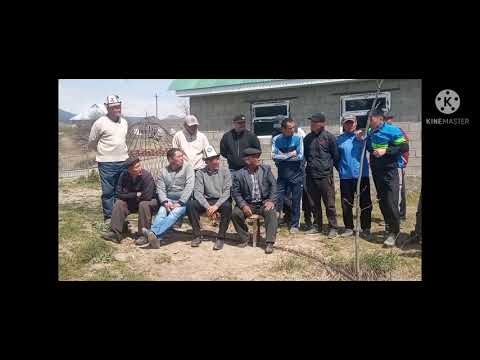 Видео: Кок Алма 🇰🇬