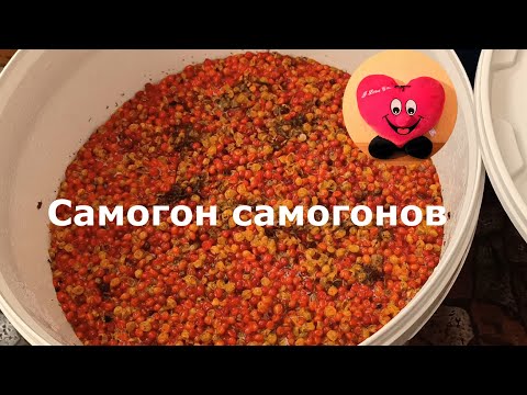 Видео: Самогон из калины. Царь-самогон