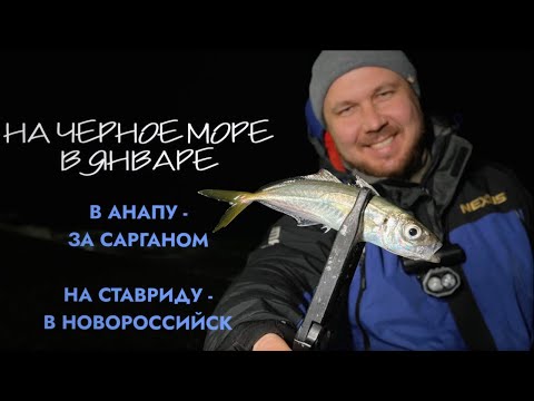 Видео: На Чёрное море в январе🎣 В Анапу на поиски саргана. Ловля ставриды в Широкой Балке