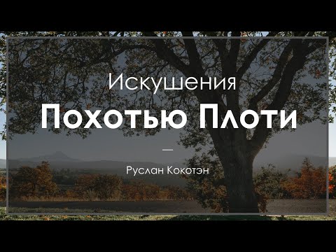 Видео: Искушения похотью плоти | Руслан Кокотэн