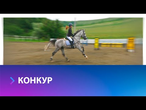 Видео: На Ставрополье прошло соревнование по конкуру