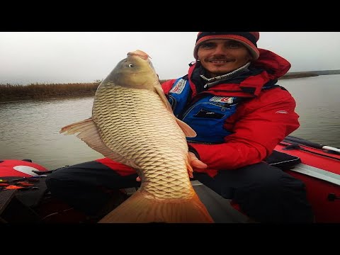 Видео: Как поймать Сазана на джиг Атаки сазанов и визги фрикциона
