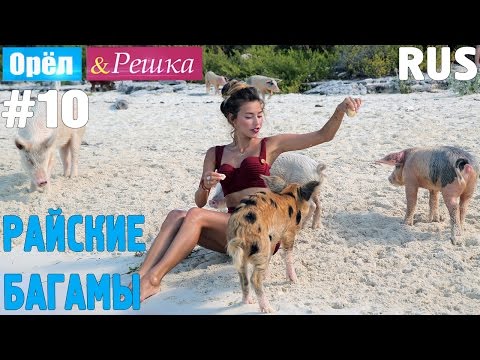 Видео: #10 Райские Багамы. Орёл и Решка. Рай и Ад. RUS
