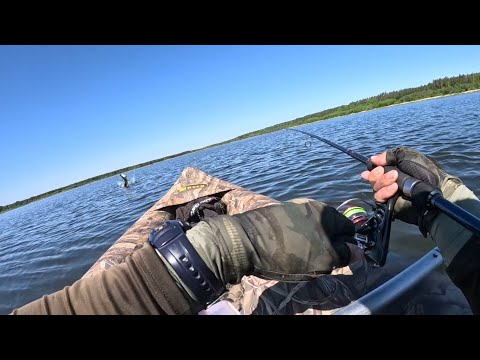 Видео: как Я ЛОВЛЮ БЕЗ ЭХОЛОТОВ и МОТОРНОЙ ЛОДКИ в затопленном лесу? Мои приманки в лютом коряжнике!