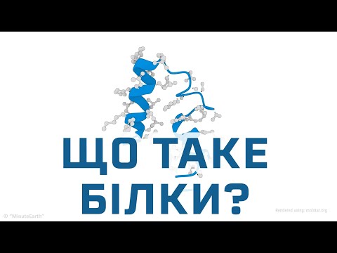 Видео: Що таке білки́ [MinuteEarth]