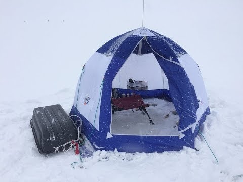 Видео: Рыбалка  Видеоотчет  Яузское водохранилище