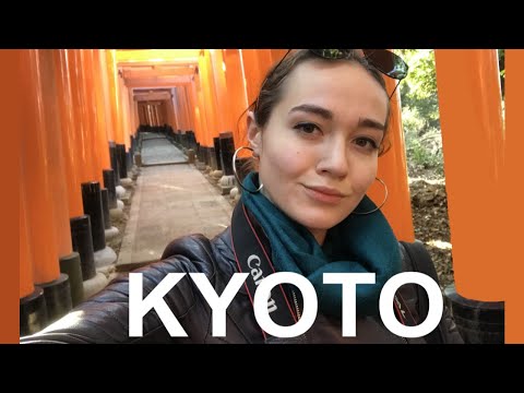 Видео: Киото | Япония, храмы, философский путь, кимоно, обезьяны